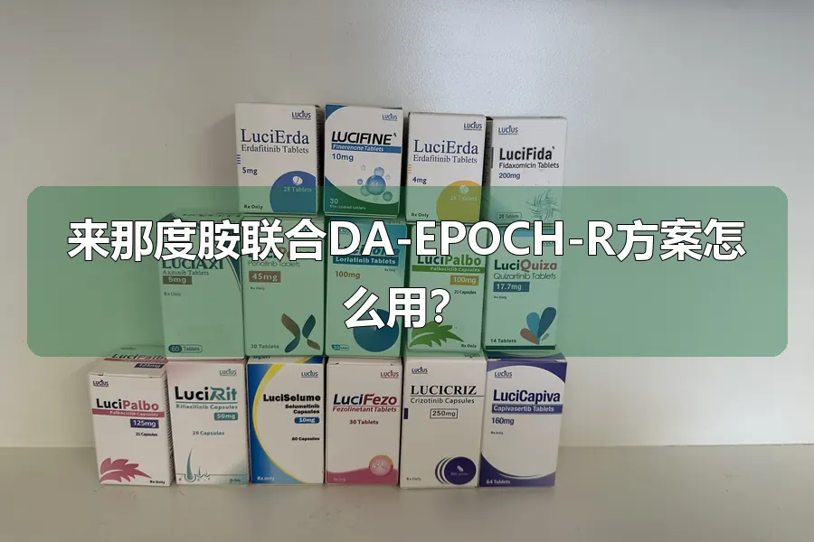 来那度胺联合DA-EPOCH-R方案怎么用？